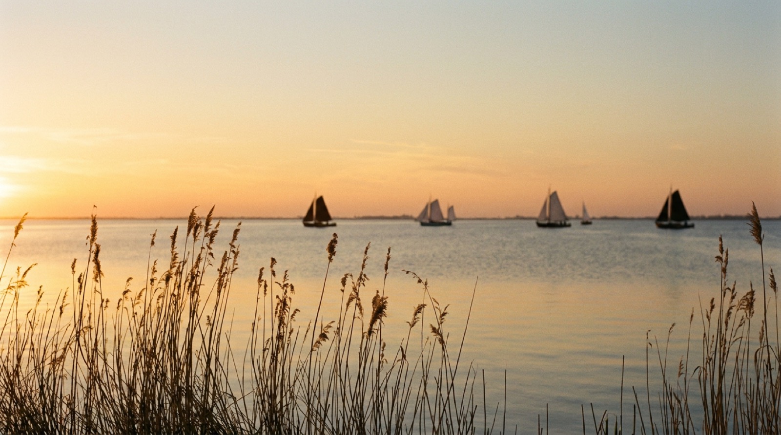 Zonsondergang over het Tjeukemeer — traditionele Friese zeilschepen als silhouet op het gouden water